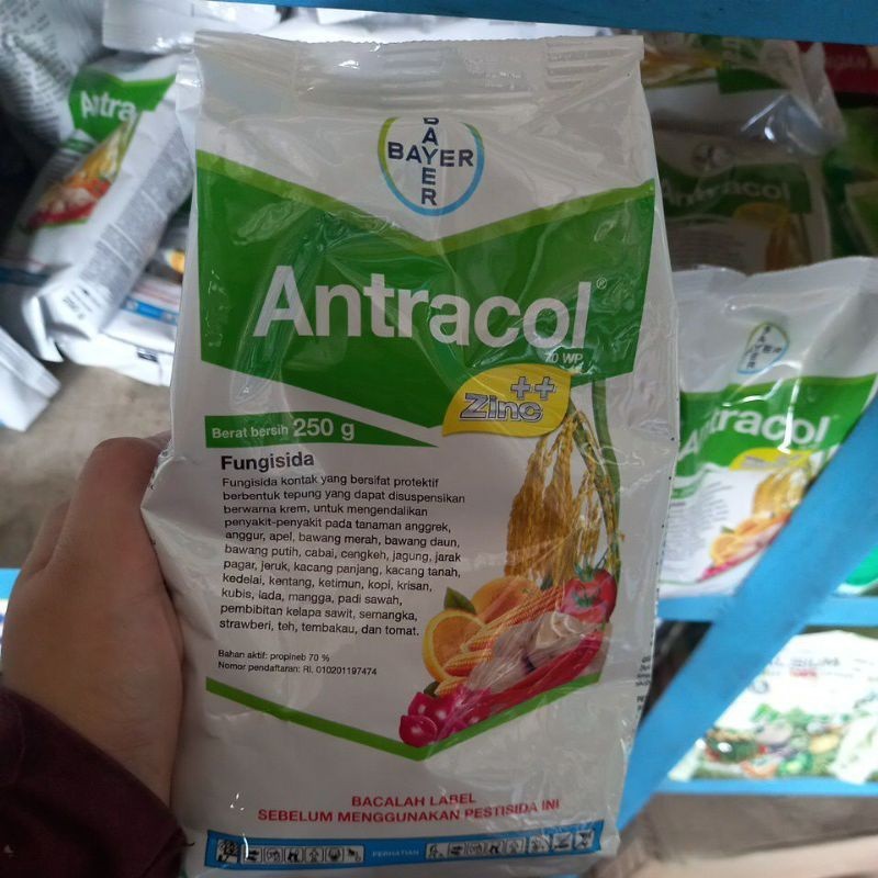 ANTRACOL 70 WP 250 GRAM FUNGISIDA / ANTRACOL 250GRAM ORIGINAL