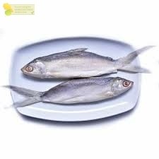 

Ikan Bandeng Cabut Duri Ikan Bandeng Tanpa Duri