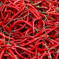 

Paket 1kg cabe merah kriting segar harga murah