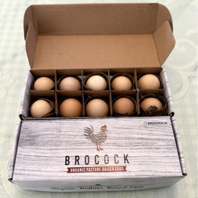 

Telur Ayam Kampung Organic Pasture Raised | Telur Ayam Kampung Free Range by Brocock