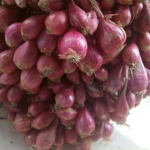 

Promo Bawang Merah Kulit Kering/Bawang Merah No.1/250 gram