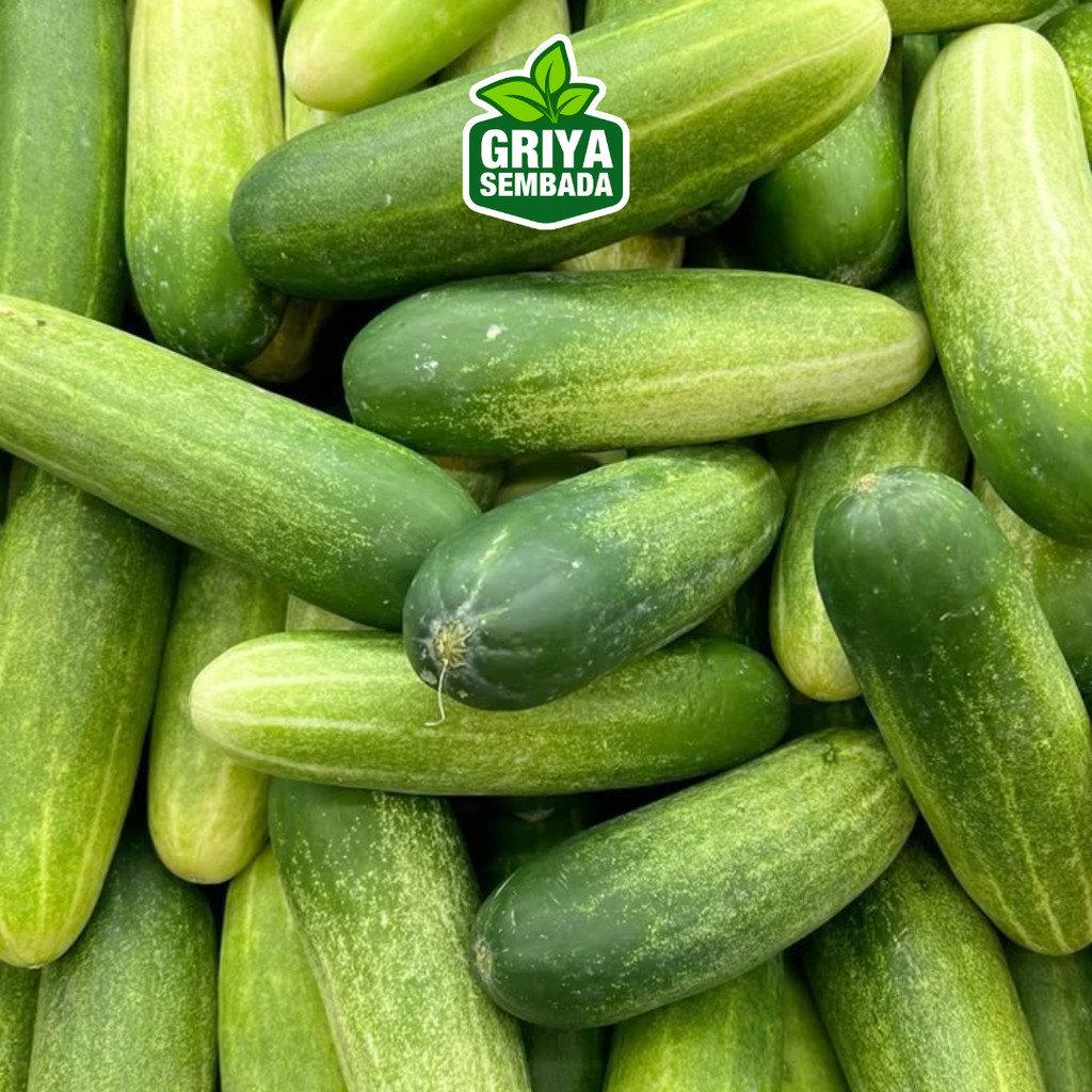 

Timun Baby 300gr - Sayur Nusantara