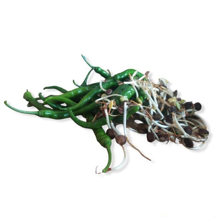 

cabe hijau + Ale / lombok ijo ale 250gram