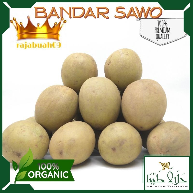 

BANDAR Buah Sawo Manis Fresh 1 kg / Sawo Manis