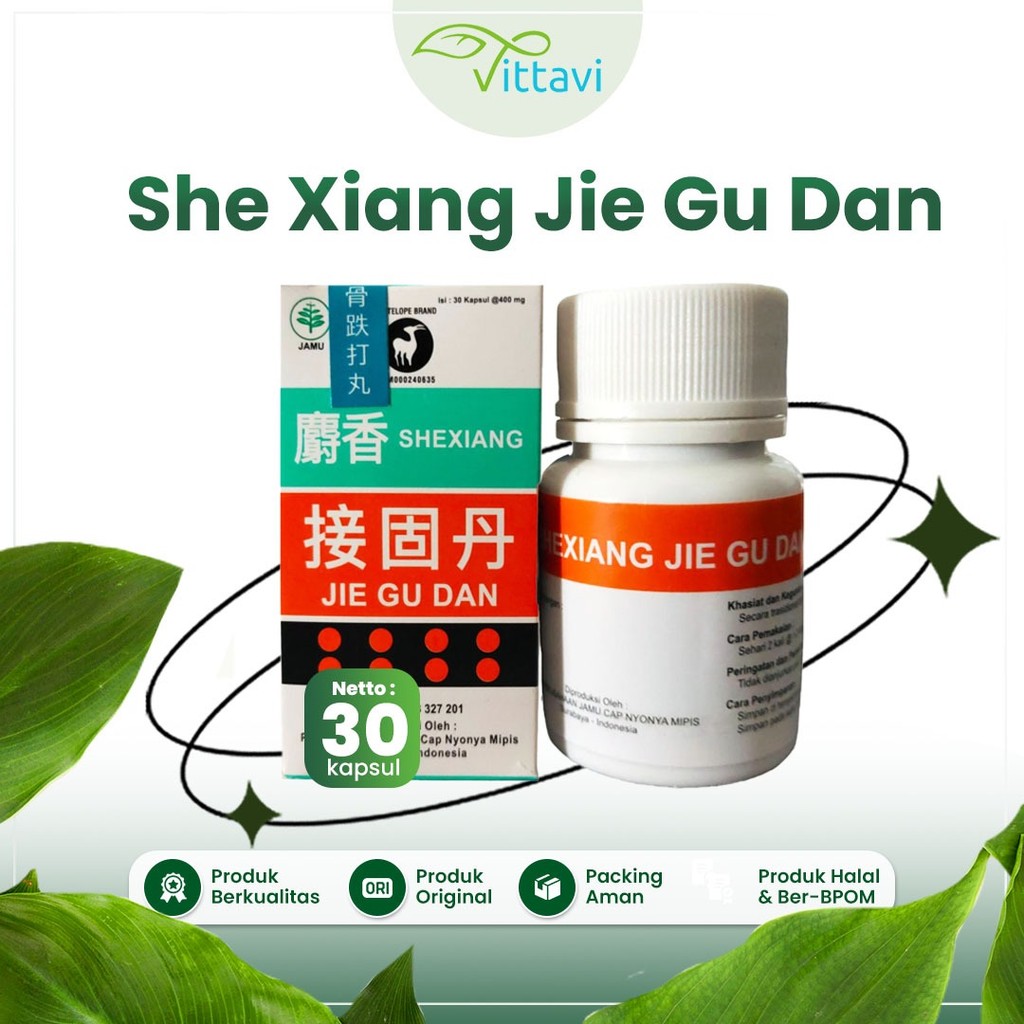 ☘️Vittavi☘️ SheXiang Jie Gu Dan Wing Ku Tan Sejenis Bonkap - Obat herbal untuk meredakan nyeri dan m