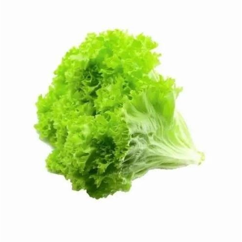 

Promo Selada keriting segar Fresh Selada Hijau 200gr