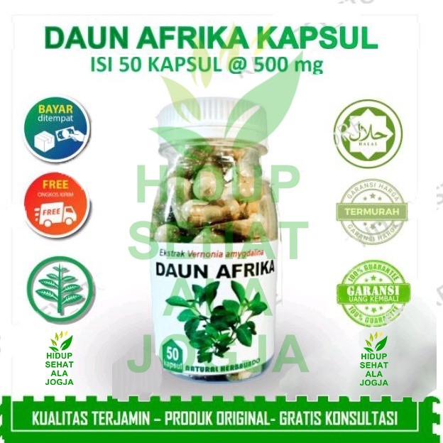 Daun afrika kapsul herbal stroke obat strok jamu kolesterol hipertensi kebas kesemutan mati rasa