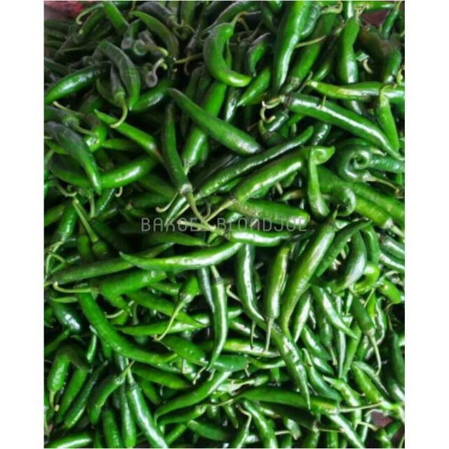 

CABE HIJAU BESAR / LOMBOK / CHILI / FRESH VEGETABLES / VEGETABLE / SAYUR SAYURAN SEGAR BUMBU DAPUR BEST SELLER