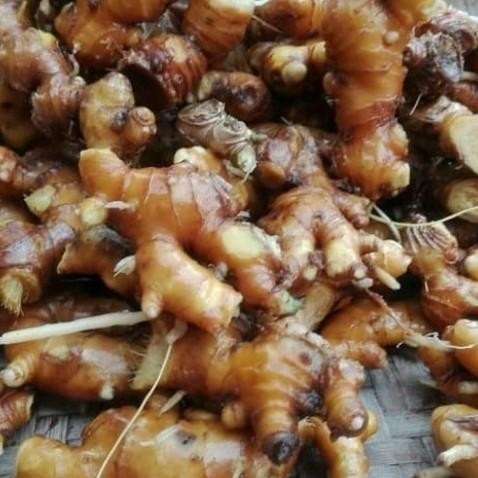 

Ready stok Lempuyang zerumbet segar/basah lempuyun Rina Erlina