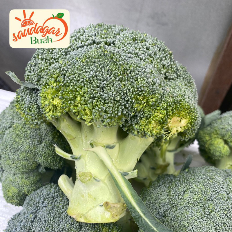 

BROKOLI IMPORT FRESH 500GR