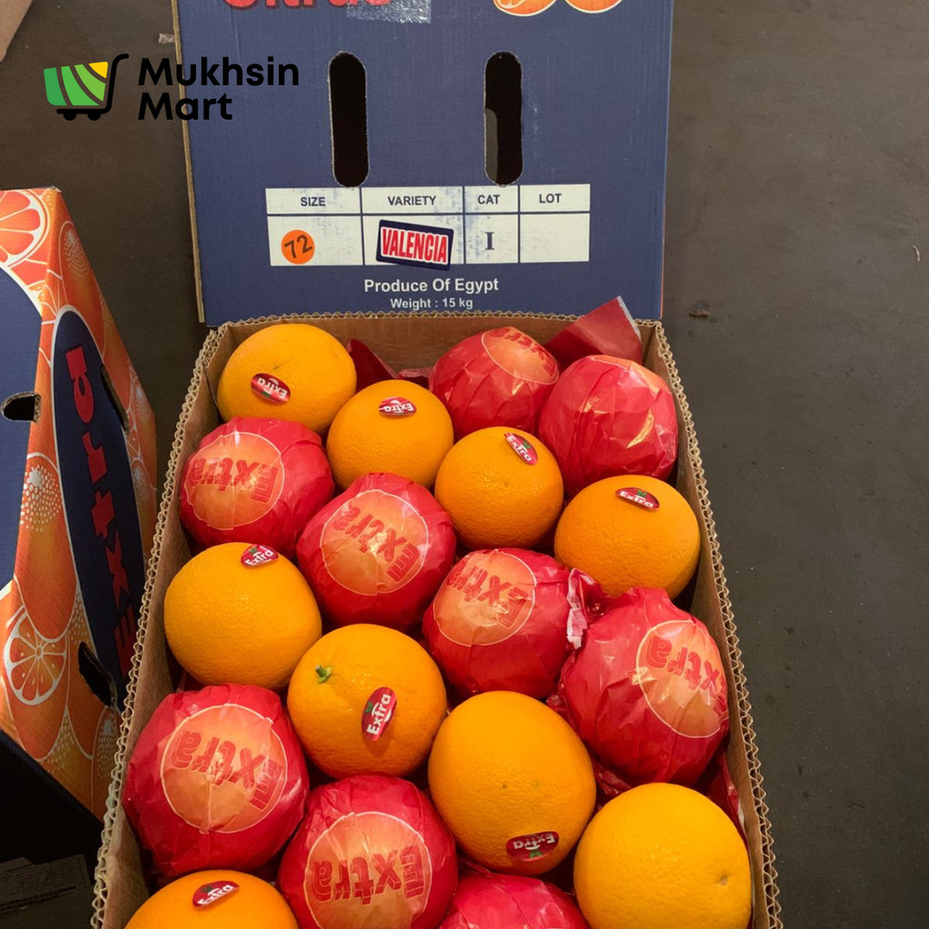 

Buah Jeruk Valencia Egypt Nile Grosir