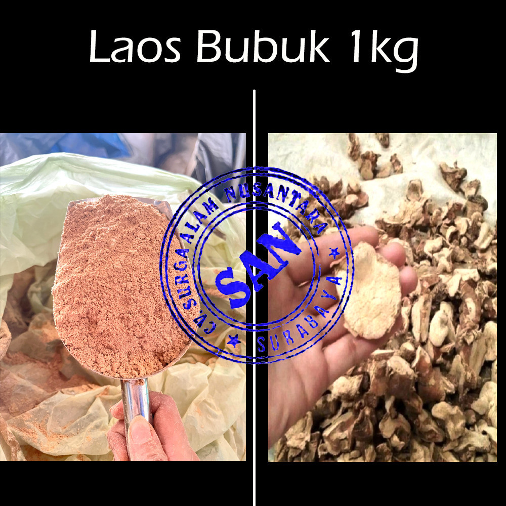 

Laos Bubuk 1kg Lengkuas
