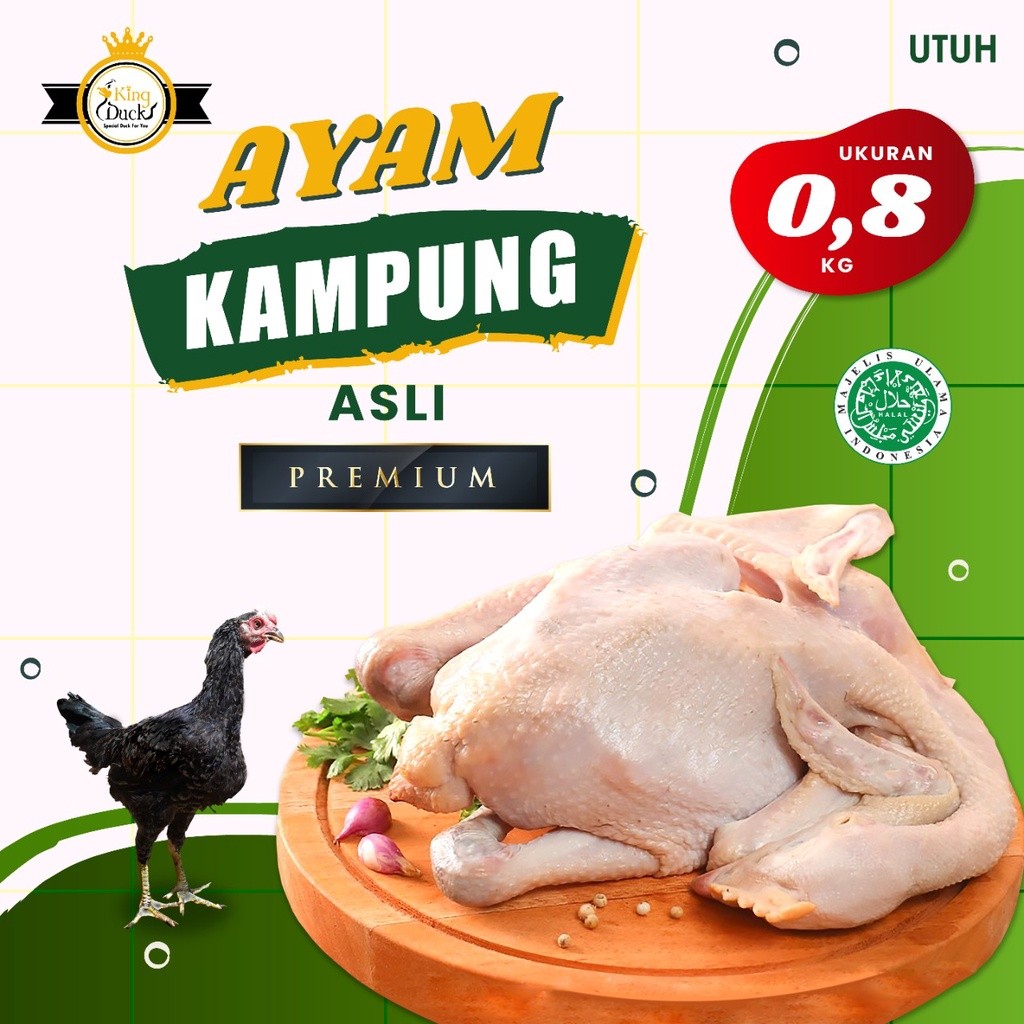 

AYAM KAMPUNG 0.8 KG UTUH PAKAI KEPALA KAKI