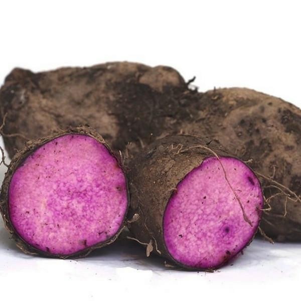 

Umbi Uwi 1 kg Isi Warna Ungu dan Putih - Putih - Putih