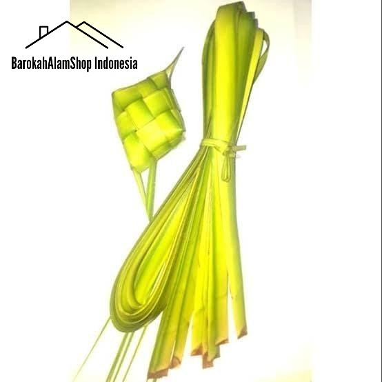 

Janur Kelapa Kuning 100 Batang / 200 Lembar Daun Kelapa Muda
