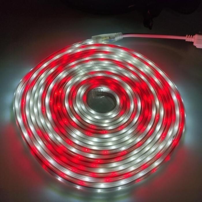 Lampu Hias 17 agustusan Lampu Merah Putih Led Strip 220v Lampu Selang Led Strip Merah Putih Langsung