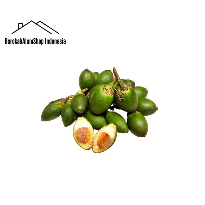 

Buah Pinang Muda Segar 500 Gram Herbal Alami Pria Dewasa