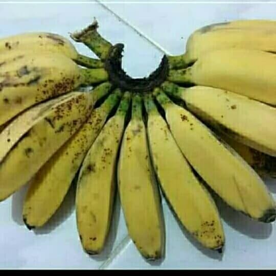 

terlaris pisang kepok original - cocok untuk dijadikan kripik 1kg