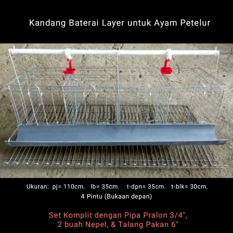 TERASHOP Kandang Baterai Layer Ayam Petelur Kawat Galvanis