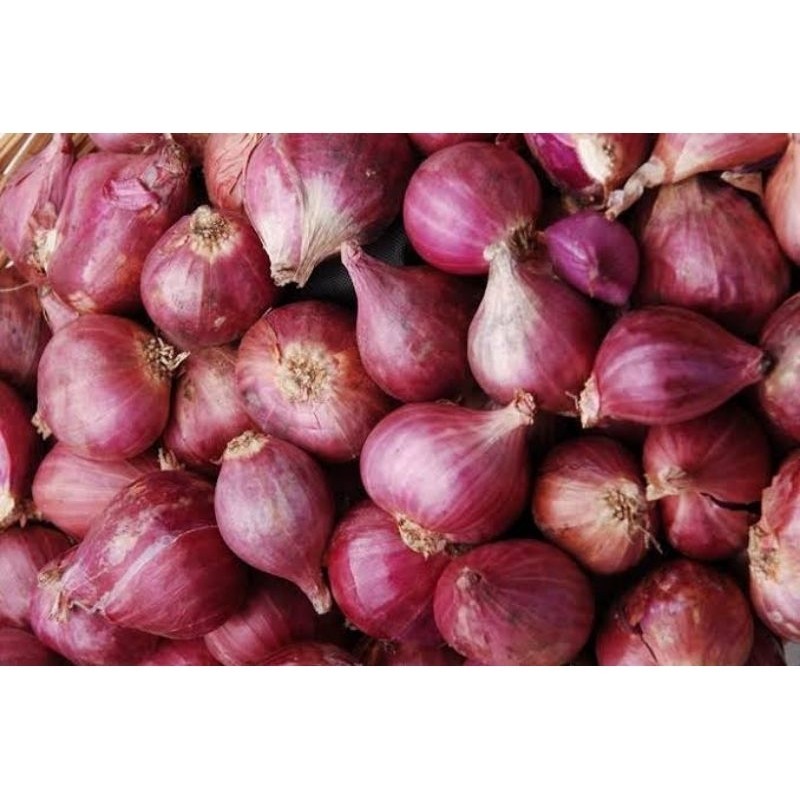 

bawang merah organik 1kg
