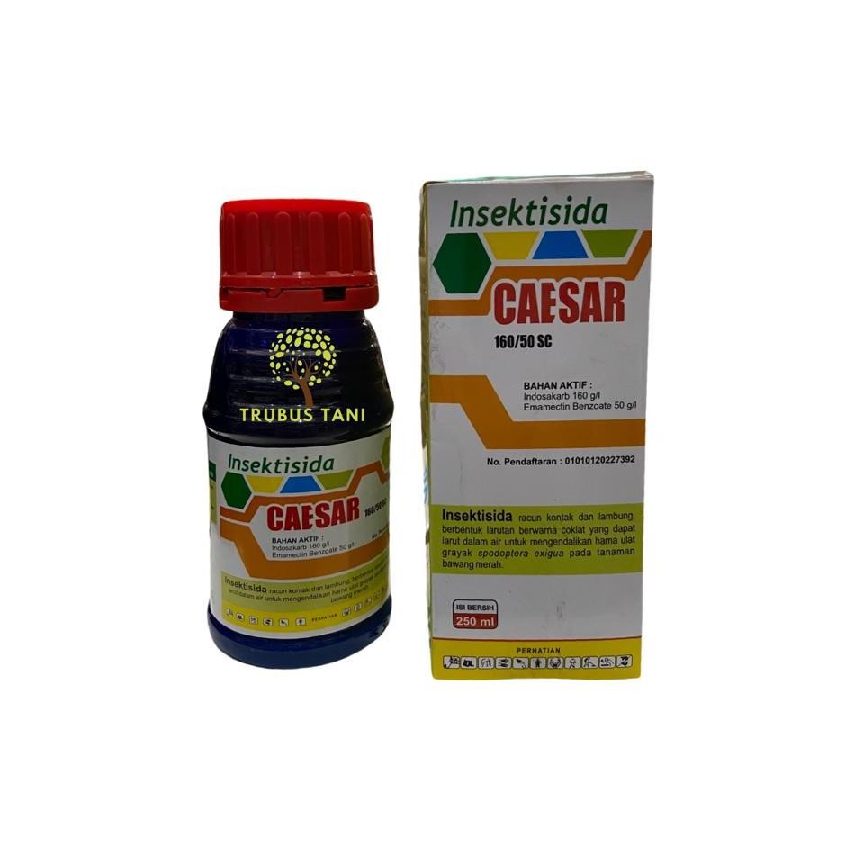 Insektisida CAESAR 160/50OD ukuran 250ml-pengendali ulat grayak pada tanaman