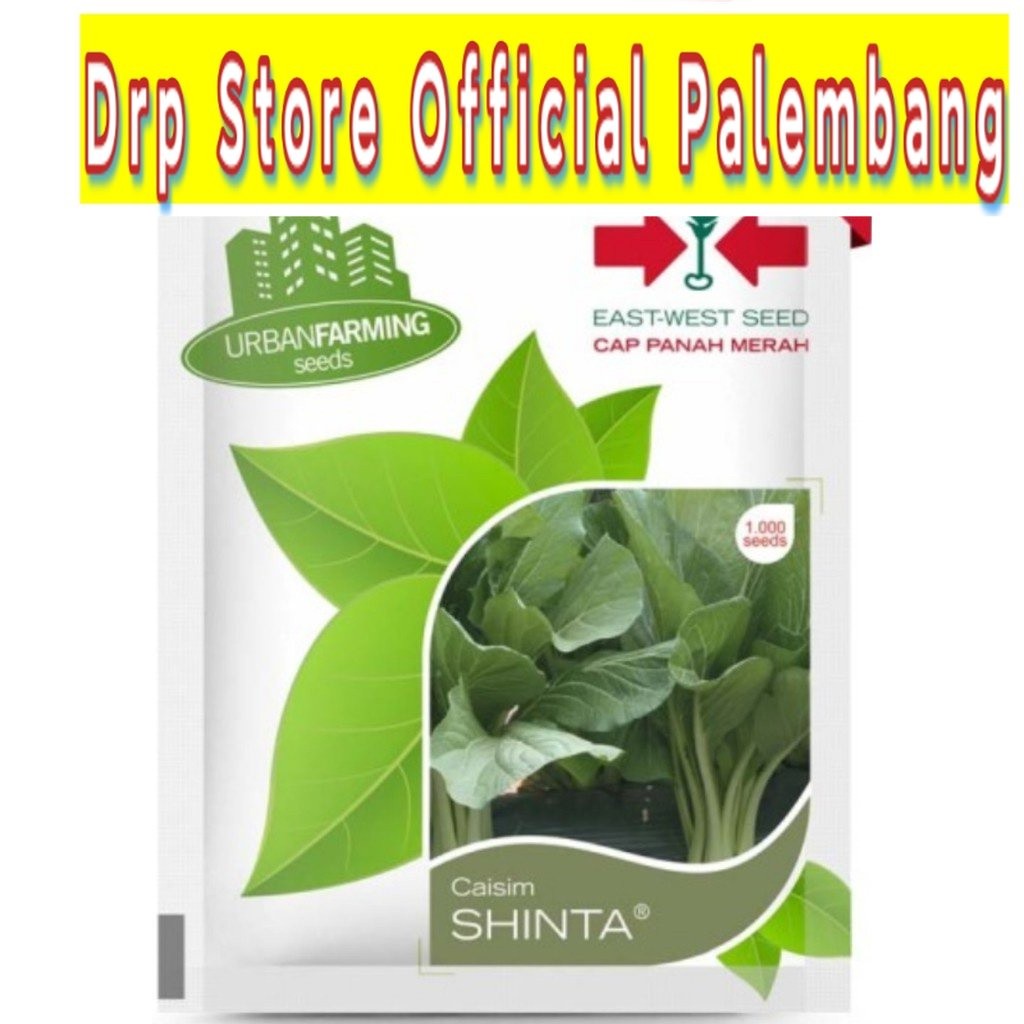 Benih Panah Merah - Sawi/Caisim Shinta