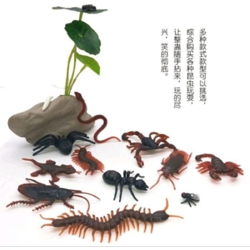 MAINAN KECOAK/HEWAN SERANGGA