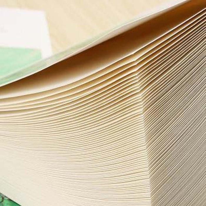 

TERLARIS! Sketch Book Vangogh 2024 Edition - Sunflower, A5