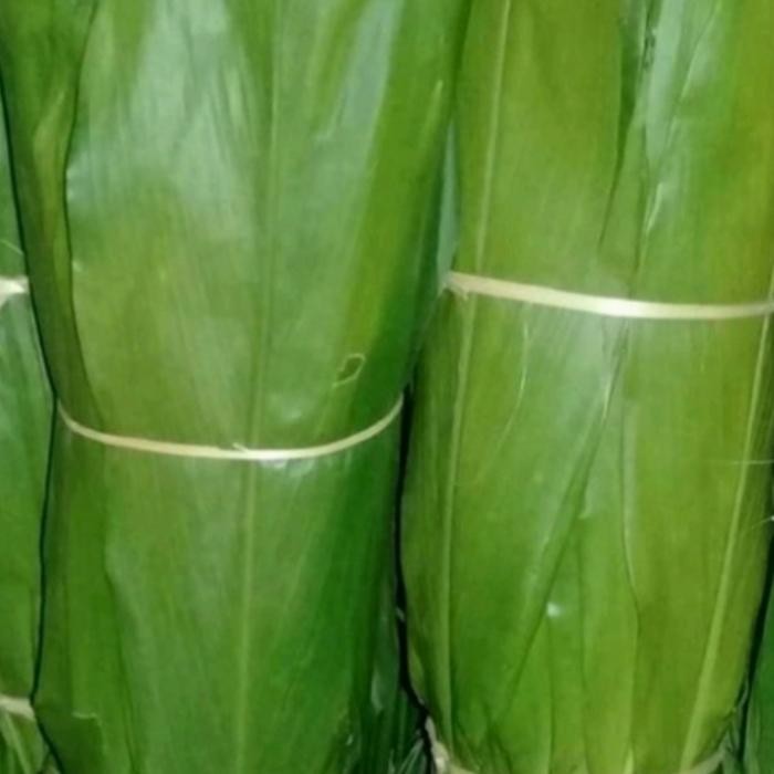 

ready stok daun andong hijau/daun hanjuang segar 500gram