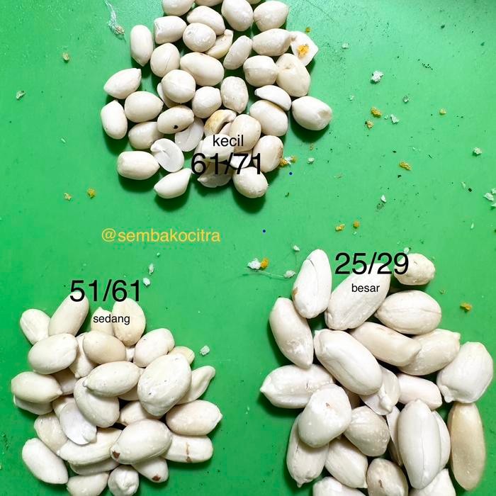 

Kacang Kupas Mentah 1kg / 1000gram - 61/71 (KECIL)