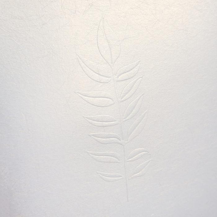 

Leaf Impression Standard Notebook B5 Grid / Buku Tulis B5 Kotak Kotak - VARIAN C