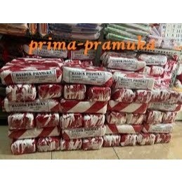 

hasduk pramuka SD/ 1 kodi isi 20pcsCO