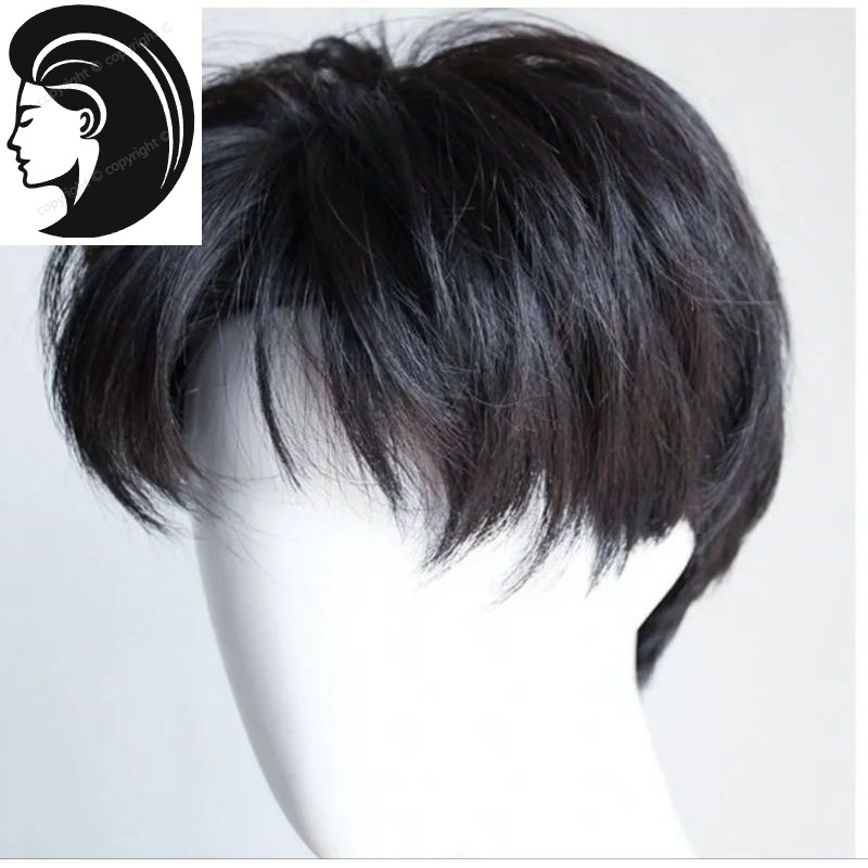 【Rambut nyata.】 WIG RAMBUT PRIA PENDEK MODEL KOREA -COD
