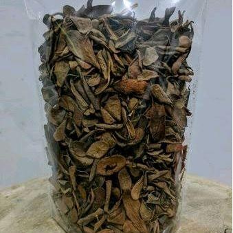 

Daun Sisik Naga Asli Kering 100 Gram