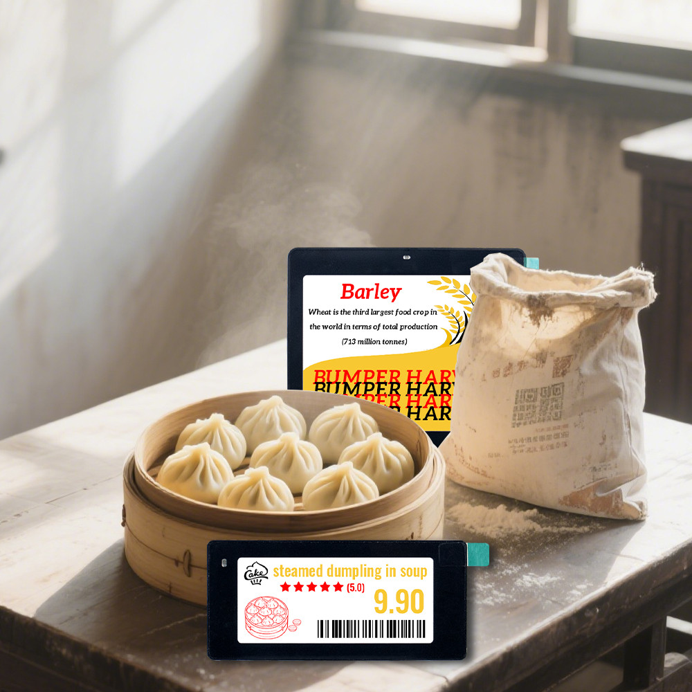 

E Ink Display Color Digital Tag 2.9Inch 4.2Inch Electronic Esl Shelf Labels Rfid Smart Ble Label