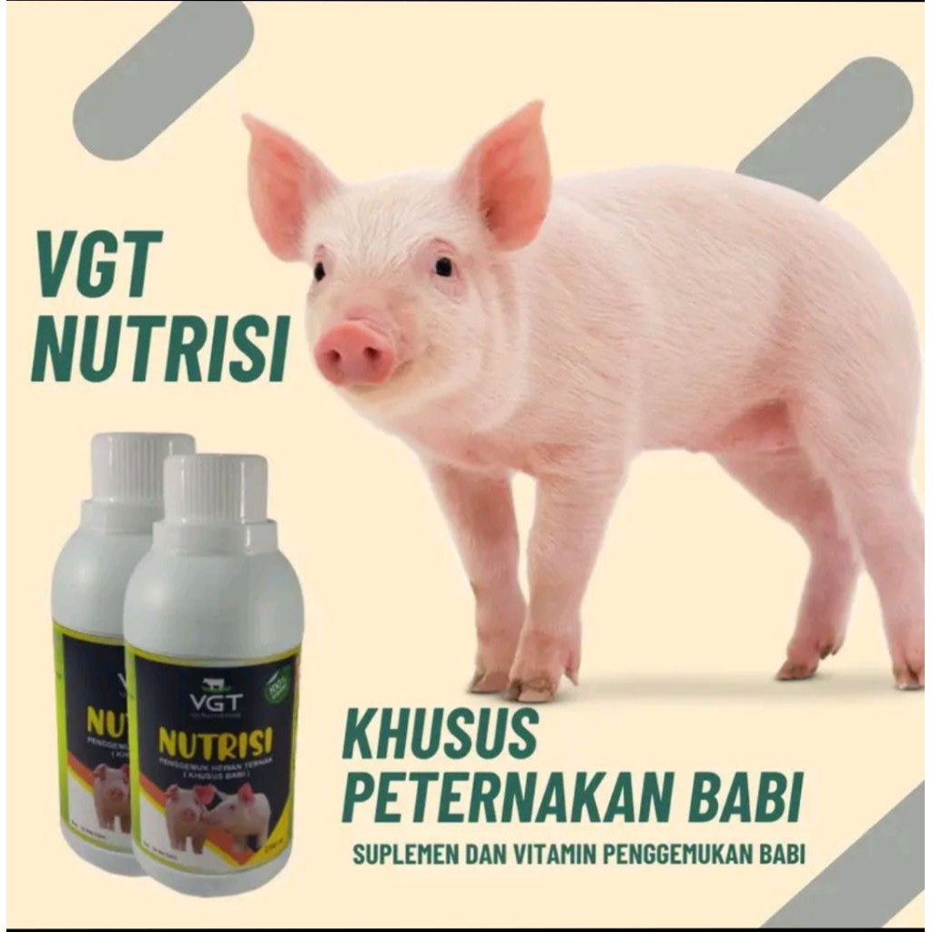 VGT Nutrisi Babi,Multivitamin Penggemuk babi, Probiotik Ternak Babi isi 250ml