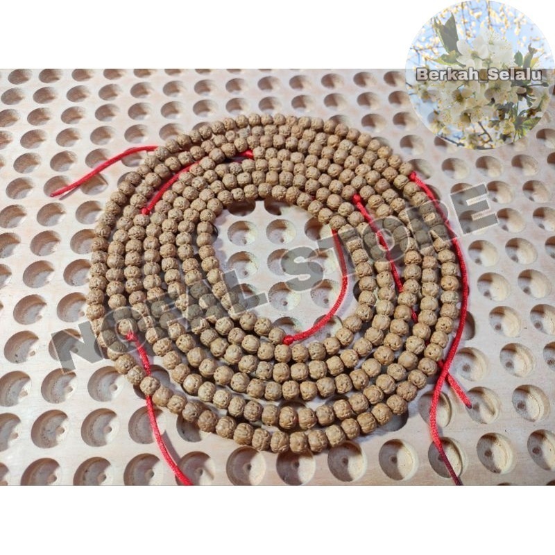 Japamala 108 Rudraksha 108 Good Rudraksha Super Daging Tebal Tasbeh Berkah_Selalu