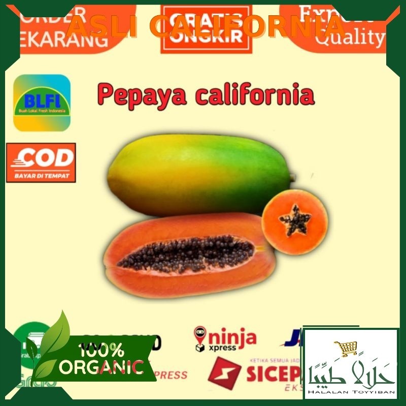 

BUAH PEPAYA CALIFORNIA REQUEST SEMU ATAU MATANG Per 1 Buah