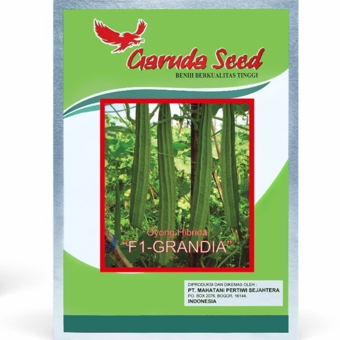 10gr - Benih Bibit Gambas Oyong Grandia F1 Garuda Seed