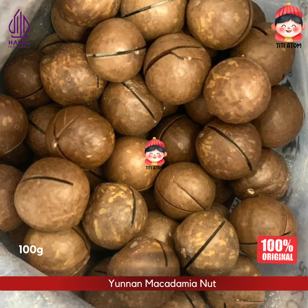 

Yunnan Macadamia Nut Kacang Makadamia Matang 100g
