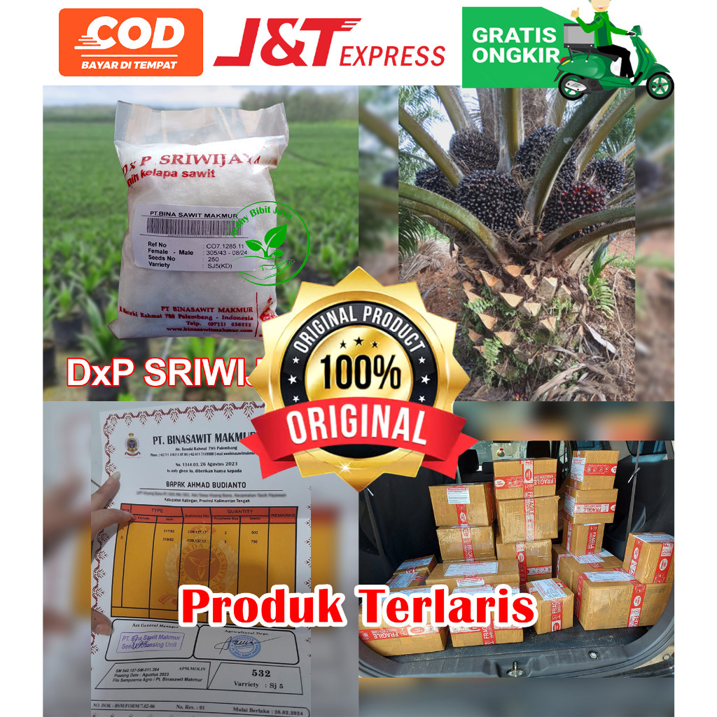 DxP SRIWIJAYA SJ5 UNGGUL DAPAT SERTIFIKAT
