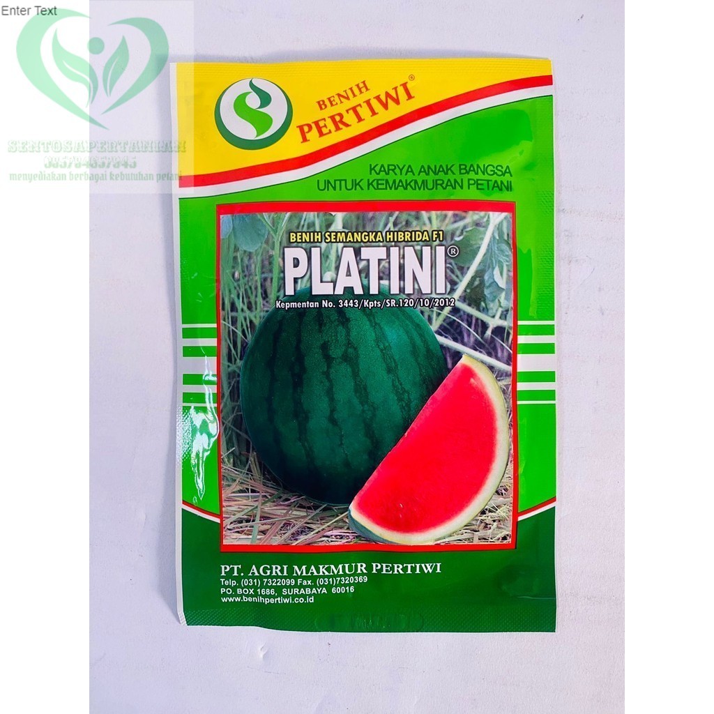 BISA COD TERLARISS Benih semangka hibrida F1 PLATINI merah tanpa biji isi 20gr dari PERTIWI