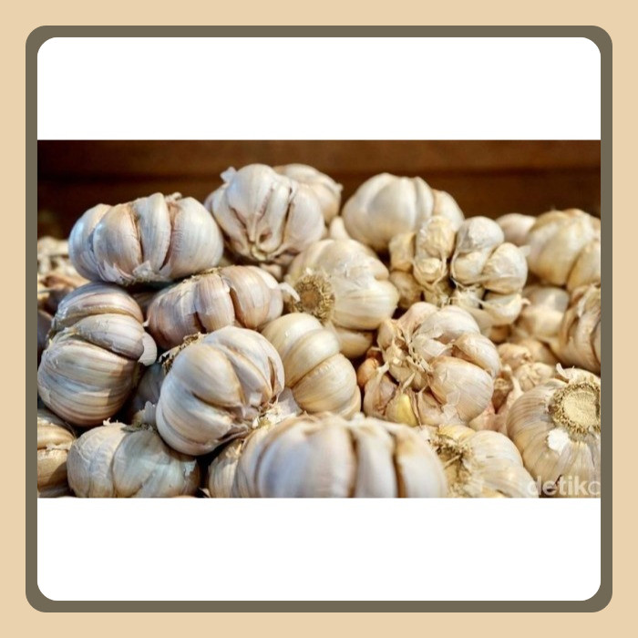 

Bawang Putih Segar Import 1kg Kondisi Kotor
