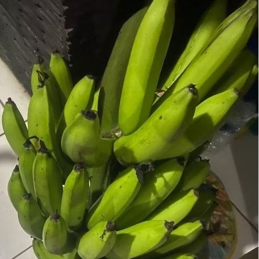 

Buah Pisang Mentah DW PB KG Pisang Bangkaulu Fresh