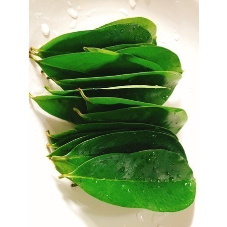 

Promo COD Daun sirsak tua segar organik 250 gram Lembur_kuring