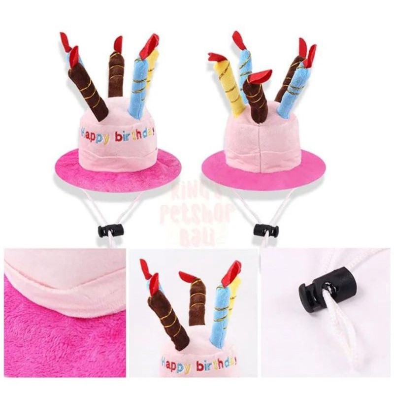 

Topi untuk Hewan/Pet Hat Birthday Series