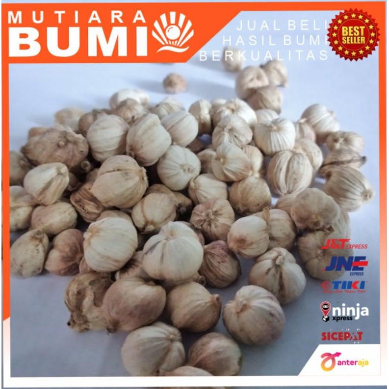 

Kapulaga kering 1kg kwalitas terbaik