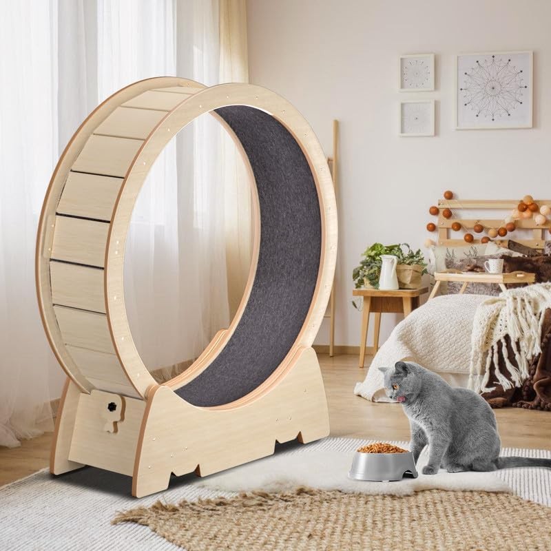 Cat Exercise Wheel Eco-Friendly Indoor Cat Running Wheel No-Gap Design Wood Treadmill