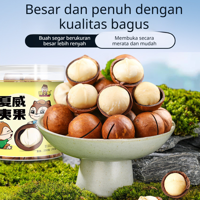 

kacang macadamia biji-bijian besar baru makanan ringan kalengan kacang beraroma kasual
