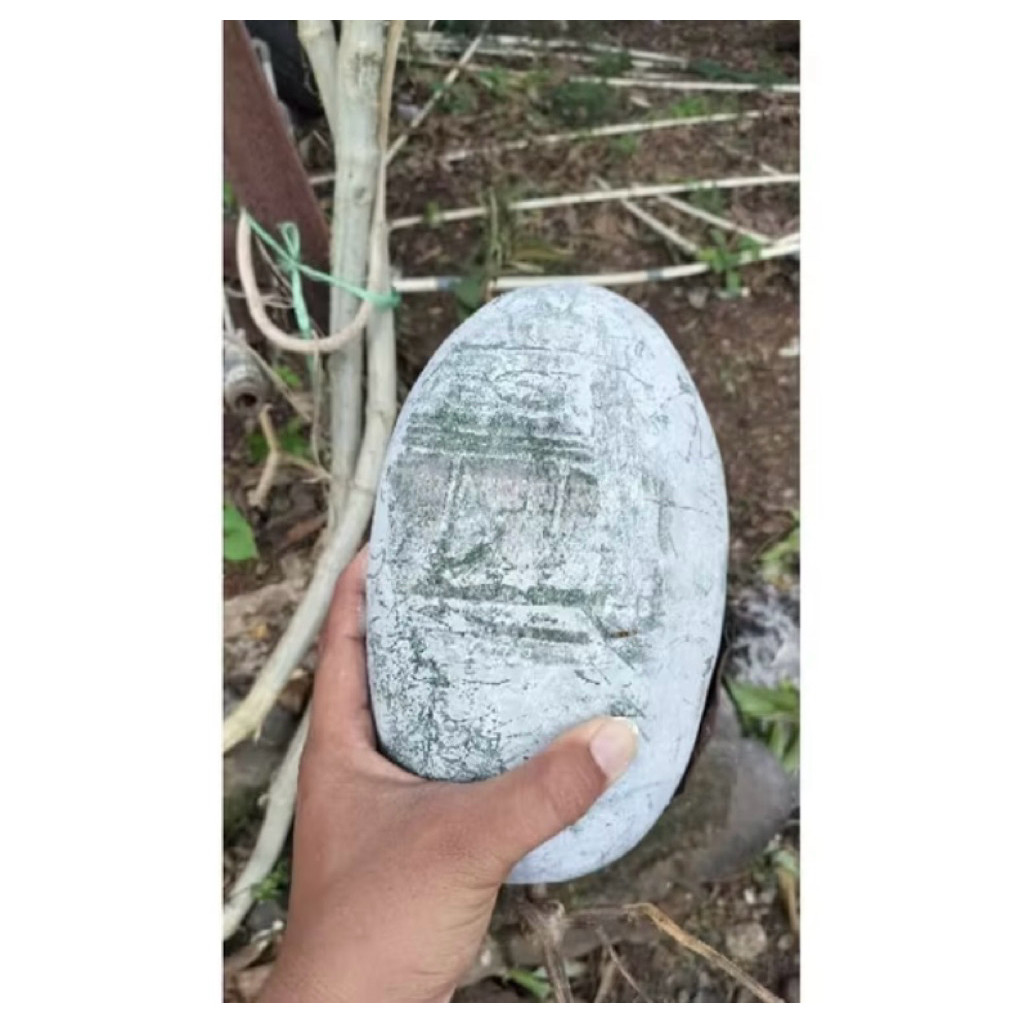 

Buah bligo kundur utuh glundungan beligo 1,2 - 1,5 kg